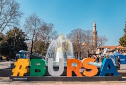 Bursa